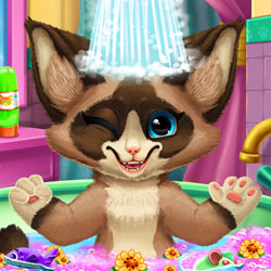 Play Game Kitten Bath